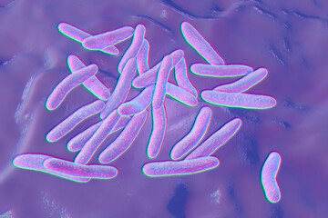 Pseudoalteromonas tetraodonis bacteria, 3D illustration. Marine bacteria living in surface slime of the puffer fish and secreting neurotoxin, tetrodotoxin - obrazy, fototapety, plakaty