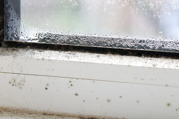 Close up of double glazed window  condensation with black mold causes by excessive moisture in the house in winter occurs when the seal between panes is broken or desiccant inside the window.