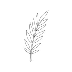Line bay laurel leaf branch art. One continuous line art decorative bay laurel leaf draw. Editable stroke single branch element. Isolated vector illustration
