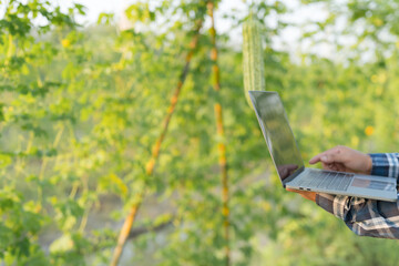 Agricultural Research Officer