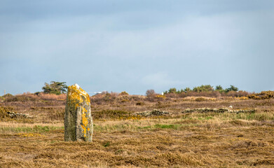 Menhir sur la presqu'île de Quiberon, Bretagne, France