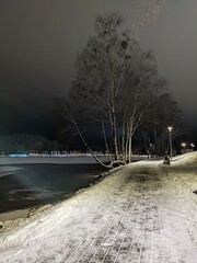 winter view of frozen lake in the small european town