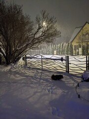 fabulous atmosphere of private house yard with dog in the snowing evening in small city
