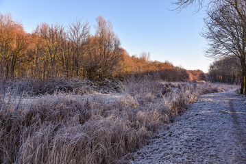 Den Helder, Netherlands. December 2022. Dutch winter landscape with frost.