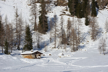 Snow covered cottage in the Alps