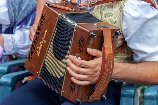 Typical musical instrument of italian musical traditions