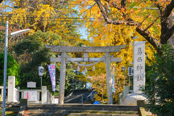 東京都葛飾区 秋の葛西神社