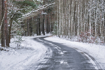 Wysoki, sosnowy las. Między drzewami jest wąska asfaltowa droga. Drzewa, ziemia i jezdnia pokryte są warstwą śniegu. - obrazy, fototapety, plakaty