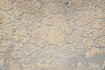 grunge wall texture background white