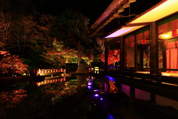 岩手県奥州市　えさし藤原の郷　紅葉ライトアップ