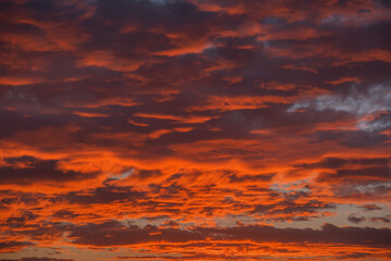 Abstract red cloud at sunset