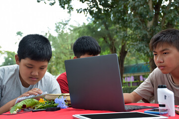 Young Asian boys doing homework, searching for information and do the reports on various species of tropical forests by using laptops, magnifiers, notebooks, pocket binoculars and tablets, soft focus.