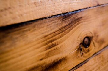 Fototapeta premium WOOD, wood,pine,birtch,