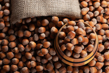 Hazelnuts, filbert in burlap sack and in brown bowl on rustic wooden table. heap or stack of hazelnuts.