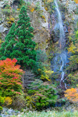 紅葉始まる天空の滝 鳥取県 天空の滝	