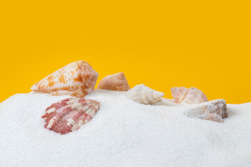 Sea shells in sand pile on yellow background
