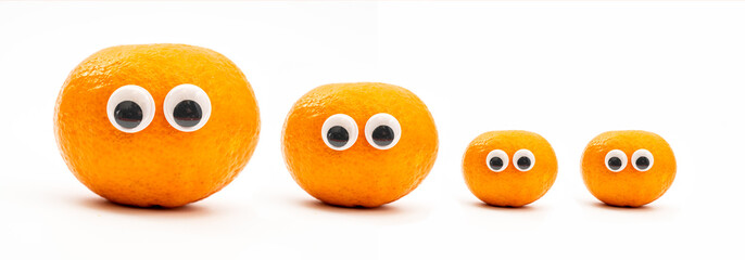 family of satsuma oranges, dad mum and kids isolated on a white background