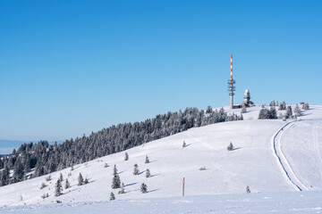 Feldberg
