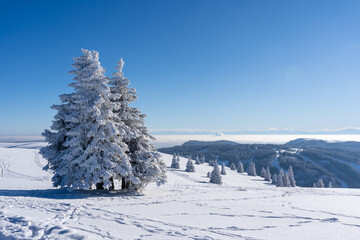 Feldberg