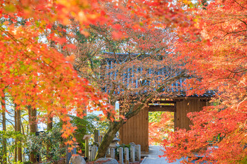 Naklejka na ściany i meble 秋の大興善寺　佐賀県三養基郡　Daikozenji temple in autumn. Saga Prefecture, Miyaki-gun.