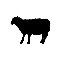 sheep silhouette