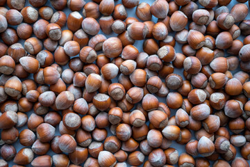 Hazelnut background, Hazelnut food background texture, nut. Selective focus, top view.