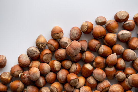 Hazelnut, Top view hazelnut, nut. 