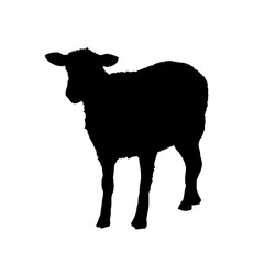  sheep silhouette