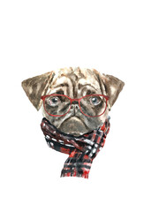 Watercolor pug illustration dogs breeds collection, dog in hat, clothes, nordic knitted hat, scandi, warm clothes, Merry Christmas greeting card, funny character printable portrait,costume,New year