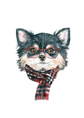 Fototapeta premium Watercolor chihuahua illustration dogs breeds collection, Merry Christmas greeting card, Dog in santa,elf hat, clothes, funny character printable portrait, costume, New year,lettering diy card design