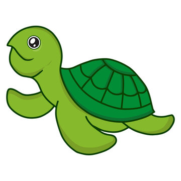 Cute smile turtle cartoon characters. Animal Coloring Page. Flat Vector illustration isolate on white background.
