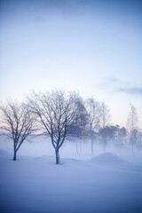 Fototapeta na wymiar Winter wonderland in Finland