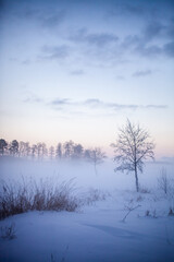 Winter wonderland in Finland - 554470945