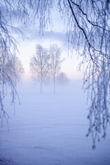 Winter wonderland in Finland - 554470946