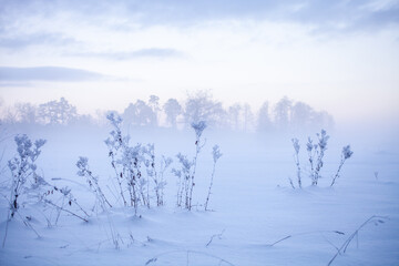 Winter wonderland in Finland - 554470974