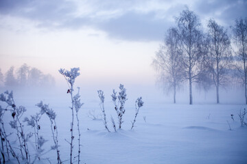 Winter wonderland in Finland - 554470976