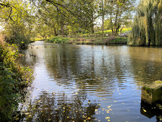 Fototapeta premium autumn in the park
