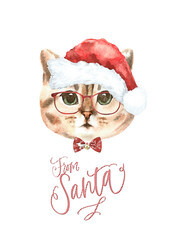 Watercolor cat illustration, cat breeds collection, Merry Christmas greeting card, cat in santa,elf hat,  clothes, funny character printable portrait, costume, New year,lettering, card design diy