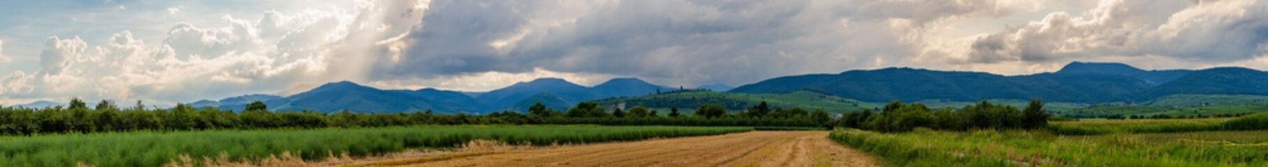 Le Massif vosgien vu depuis la plaine agricole d'Alsace, CEA, Alsace, Vosges, Grand Est, France