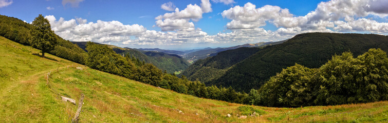 Les hautes chaumes vosgiennes en été, espaces naturels de la montagne, CEA, Alsace, Vosges, Grand Est, France