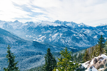 Surreal fantastic mountain landscape, turquoise blue mountains and snow-covered Christmas trees