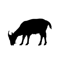 goat silhouette