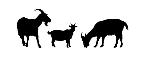 set of goat silhouettes - obrazy, fototapety, plakaty