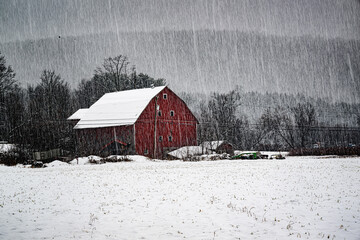 Snow falls heavily with a red barn almost hidden during this winter storm.  Red barn at the edge of the field during a near whiteout in Windsor in Upstate NY.
