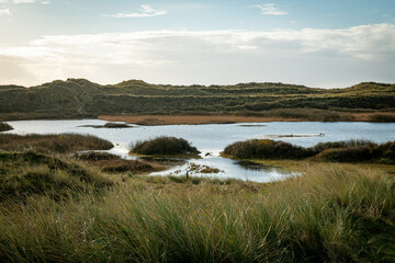 the dunes of the island texel with a small pond