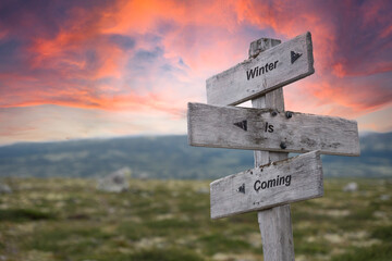 winter is coming .text quote engraved on wooden signpost crossroad outdoors in nature. Dramatic pink skies in the background.