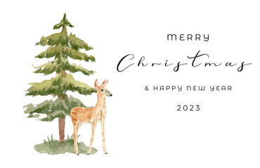 Top view of Christmas composition with gift box, ribbon, fir branches, cones, anise on white background with copy space.