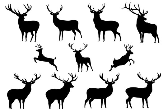 Christmas deer vector collection - graphic black silhouettes