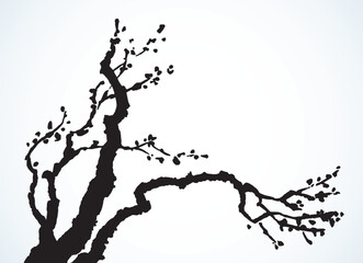 Vector image of mighty tree with bare branches