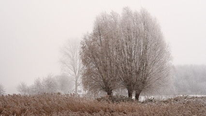 Winterlandschaft